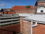 IMG_5501